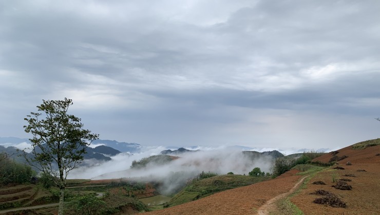 Cần bán 76.000m2 đất homestay Noong Luông, Mai Châu, Hòa Bình, giá rẻ hơn thị trường